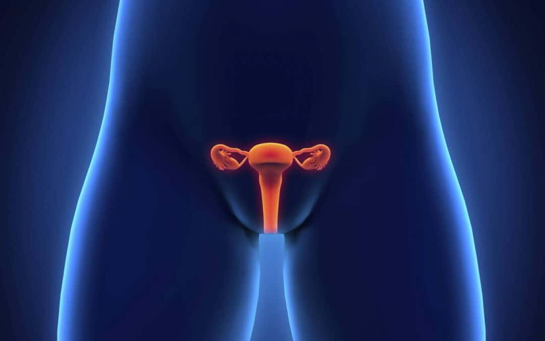 Endometriose: Causas, Sintomas e Tratamentos